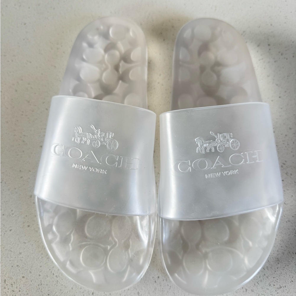 Coach Transparent Slides